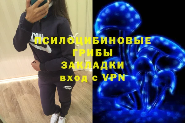 мескалин Бородино