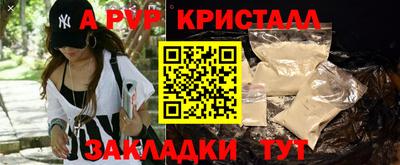 стаф Кунгур