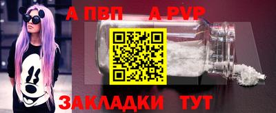 стаф Кунгур