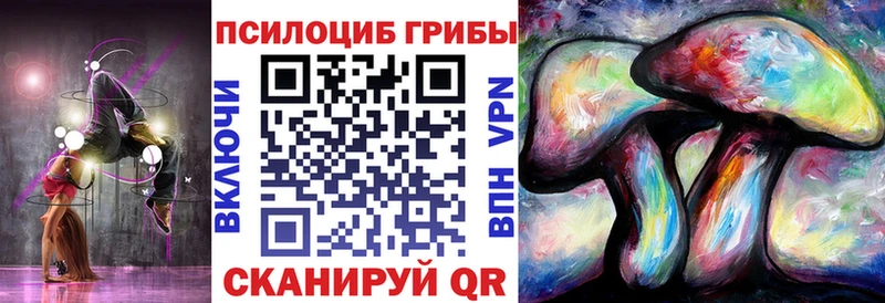 ОМГ ОМГ онион  Гулькевичи  Галлюциногенные грибы Psilocybine cubensis 