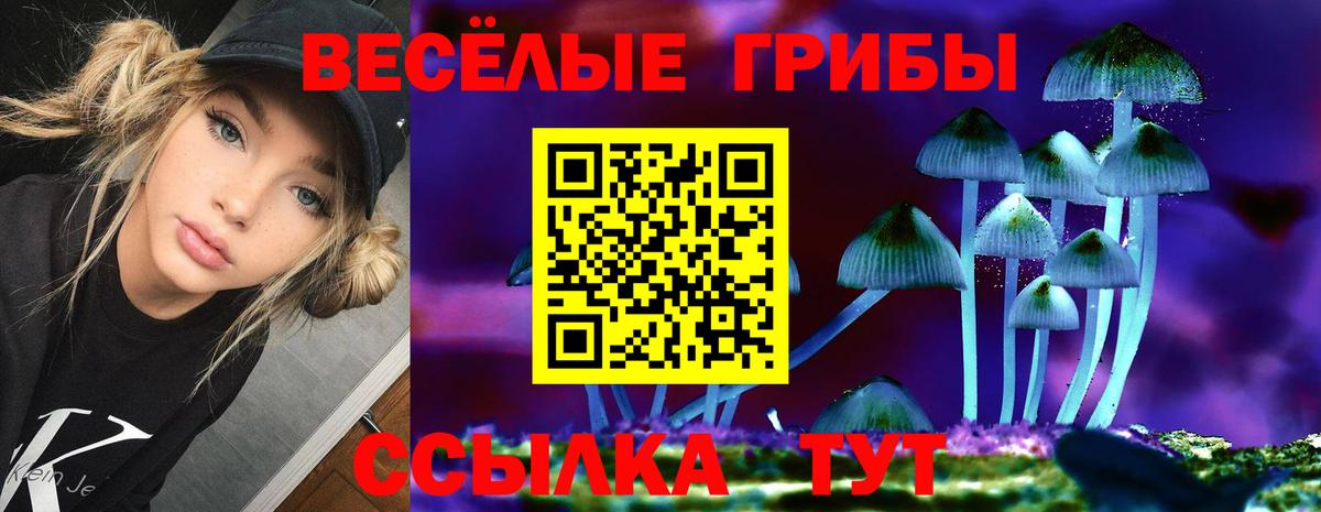 Псилоцибиновые грибы прущие грибы  Вход с VPN  Гулькевичи 